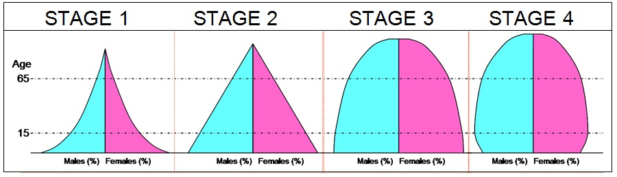 stages of demographic transition